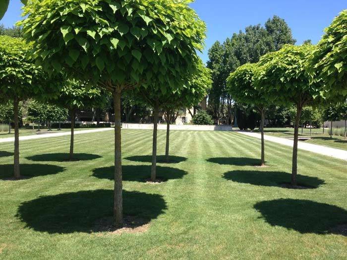 entretien d'espaces verts