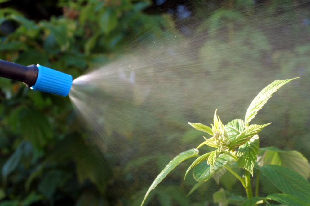 phytosanitaire