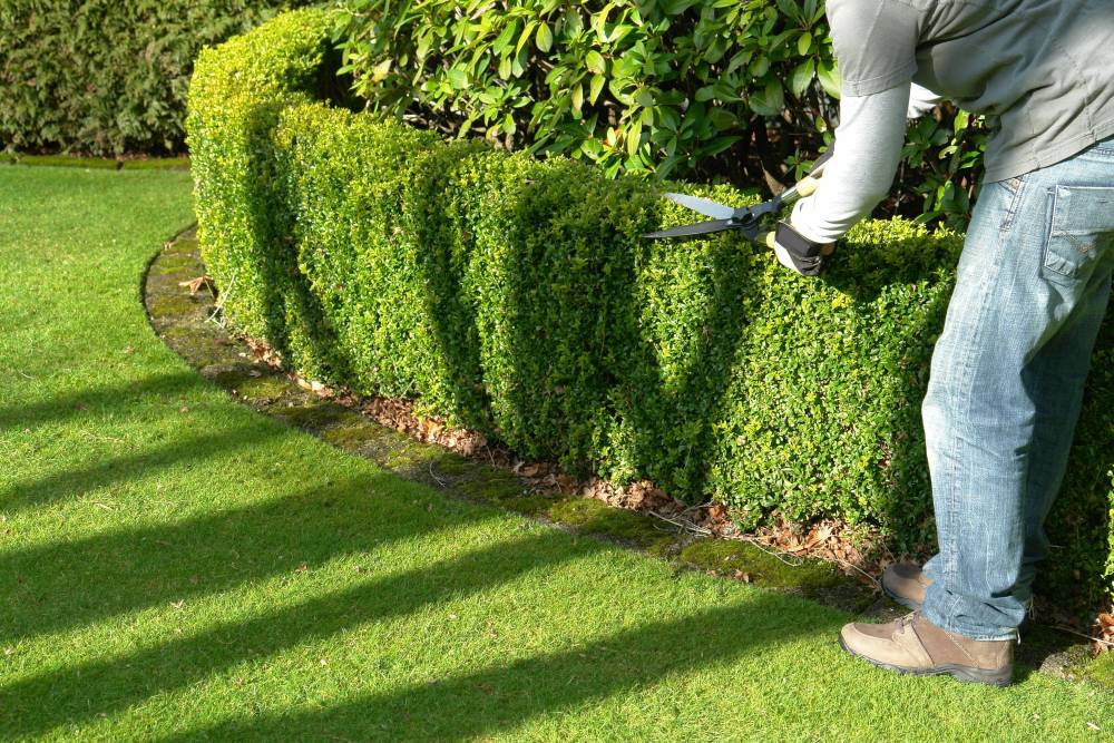 entretien espaces extérieurs à Sorgues